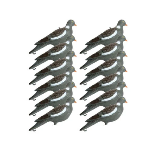 12 Formes De Pigeon Avec Piquet
