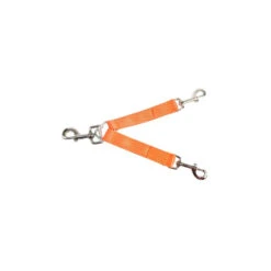 Accouple Pour Deux Chiens Orange