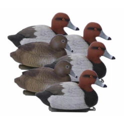 Blette De Milouin Higdon X6