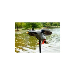 Canard à Ailes Tournantes Mojo King Mallard -Chasse Passion canard a ailes tournantes mojo king mallard 3