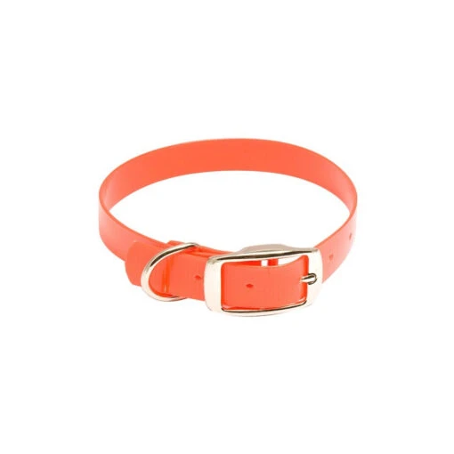 Collier Pour Chien Hiflex Country