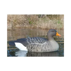 Forme D'oie Cendrée Flottante HD X6 5 Forme D'oie Cendrée Flottante HD X6 -Chasse Passion forme d oie cendree flottante hd x6 1