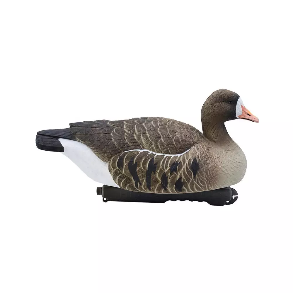 Forme D'oie Rieuse Flottante HD 1 Forme D'oie Rieuse Flottante HD