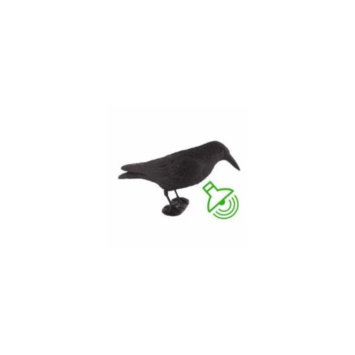 Forme De Corbeau Croasseur Floqué