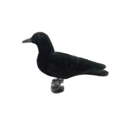 Forme De Corbeau Tête Amovible Floquée