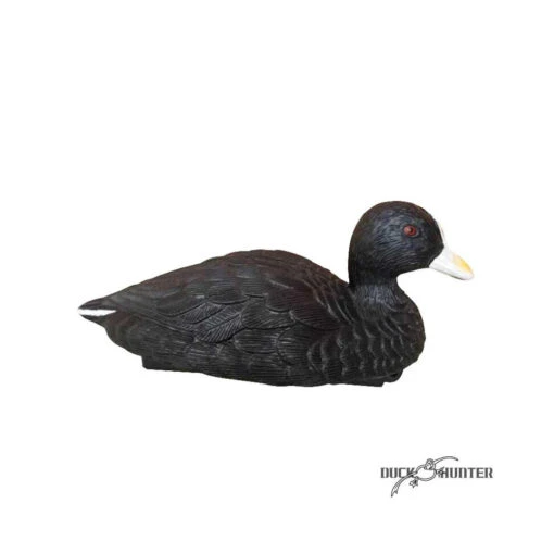 Forme De Foulque