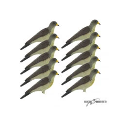 Forme De Grive Litorne X10