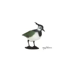 Forme De Vanneau Sur Pattes