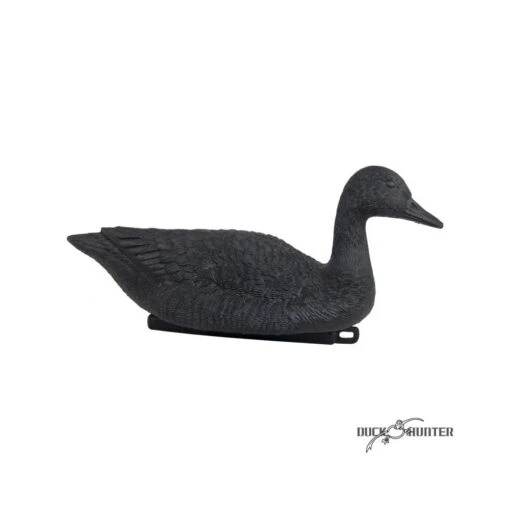 Forme D'oie Noire Flottante