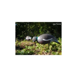 Forme Vision Pigeon HD Mangeur -Chasse Passion forme vision pigeon hd mangeur 2