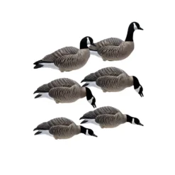 Formes D'oie Bernache Sur Pattes Final Approach X6