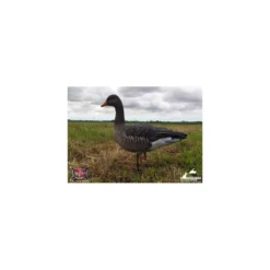 Formes D'oie Cendrée Sur Pattes AvianX X6