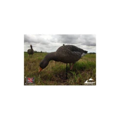 Formes D'oie Cendrée Sur Pattes AvianX X6 14 Formes D'oie Cendrée Sur Pattes AvianX X6 -Chasse Passion formes d oie cendree sur pattes avianx x6 5