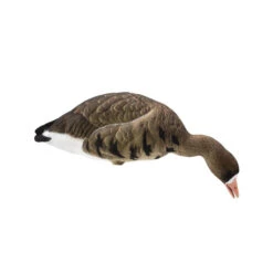 Formes D'oie Rieuse Sur Pattes Final Approach -Chasse Passion formes d oie rieuse sur pattes final approach 1