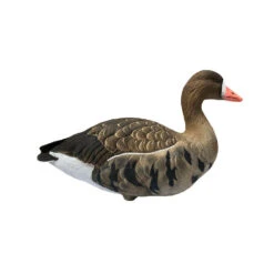 Formes D'oie Rieuse Sur Pattes Final Approach -Chasse Passion formes d oie rieuse sur pattes final approach 2