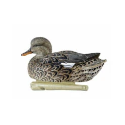 Formes De Chipeau AvianX Actifs HD -Chasse Passion formes de chipeau avianx 4