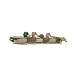 Formes De Colvert AvianX Top Flight HD