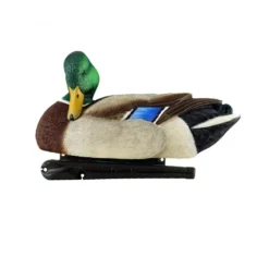 Formes De Colvert AvianX Repos Et Actifs HD -Chasse Passion formes de colvert avianx repos et actifs hd 2