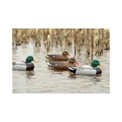 Formes De Colvert HD Peinture UVision -Chasse Passion formes de colvert hd peinture uvision 2