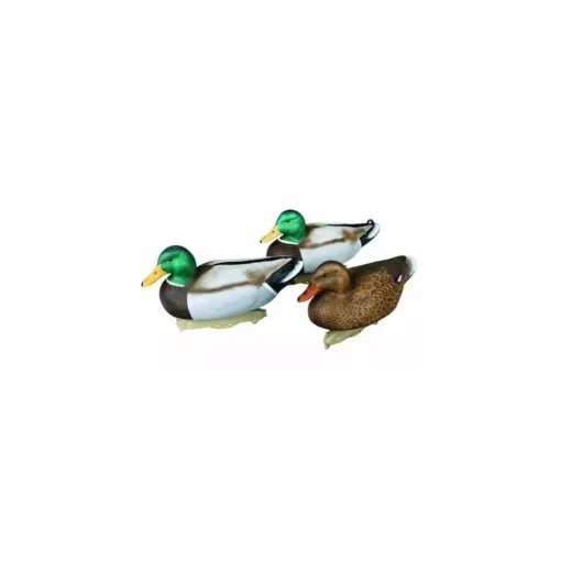 Formes De Colvert HD Peinture UVision