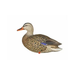 Formes De Colvert Sur Pattes AvianX 11 Formes De Colvert Sur Pattes AvianX -Chasse Passion formes de colvert sur pattes avianx 4