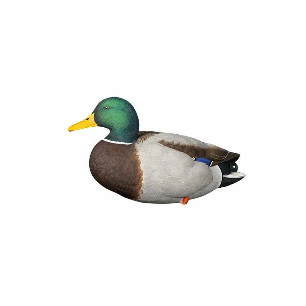 Formes De Colvert Sur Pattes AvianX 6 Formes De Colvert Sur Pattes AvianX – Image 6