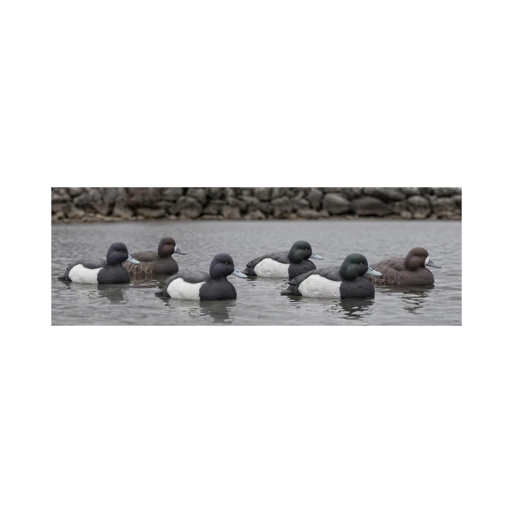Formes De Morillon AvianX 2 Formes De Morillon AvianX – Image 2