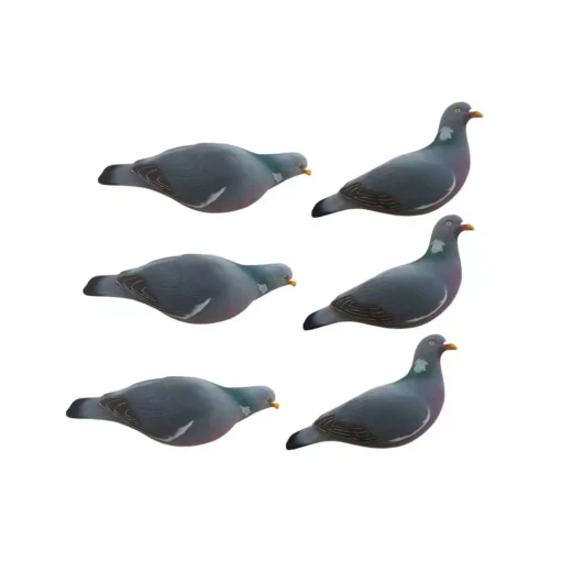 Formes De Pigeon Floquées Last Pass X6
