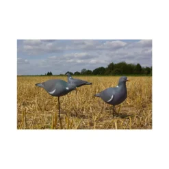 Formes De Pigeon Last Pass X12 -Chasse Passion formes de pigeon last pass x12 1