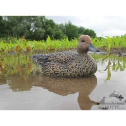 Formes De Pilet AvianX Actifs -Chasse Passion formes de pilet avianx actifs 2