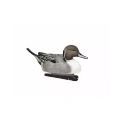Formes De Pilet AvianX Actifs