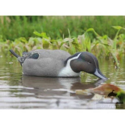 Formes De Pilet AvianX Actifs -Chasse Passion formes de pilet avianx actifs 4