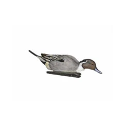 Formes De Pilet AvianX Actifs -Chasse Passion formes de pilet avianx actifs 6