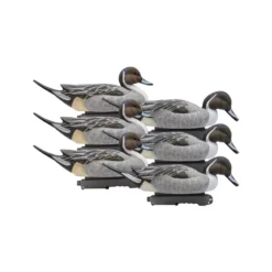 Formes De Pilet Final Approach X6