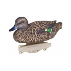 Formes De Sarcelle HD Peinture UVision 11 Formes De Sarcelle HD Peinture UVision -Chasse Passion formes de sarcelle hd peinture uvision 3