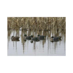 Formes De Sarcelle HD Peinture UVision 12 Formes De Sarcelle HD Peinture UVision -Chasse Passion formes de sarcelle hd peinture uvision 4