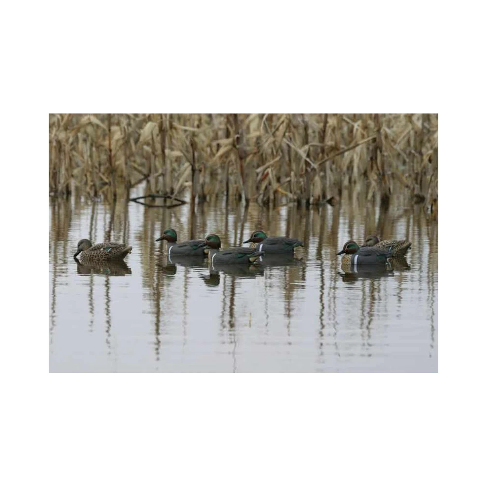 Formes De Sarcelle HD Peinture UVision 5 Formes De Sarcelle HD Peinture UVision – Image 5