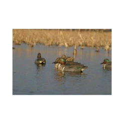 Formes De Sarcelle HD Peinture UVision 14 Formes De Sarcelle HD Peinture UVision -Chasse Passion formes de sarcelle hd peinture uvision 6