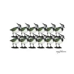 Formes De Vanneau X12