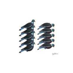 Formes Vision Pigeon HD UV X10 + 2 Offertes -Chasse Passion formes vision pigeon hd uv x10 2 offertes 5