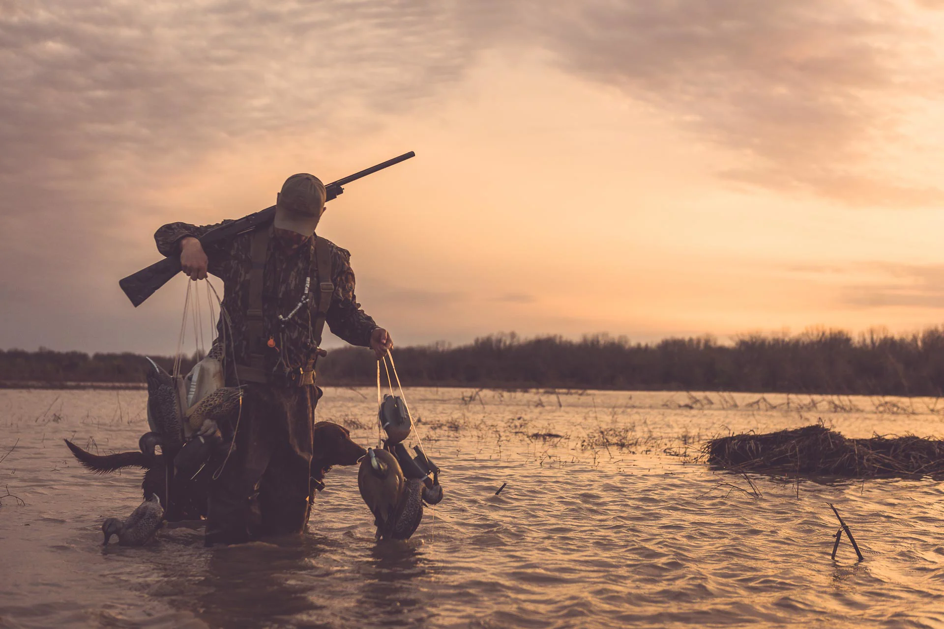 Chasse Passion -Chasse Passion honey brake duck unlimited 2045
