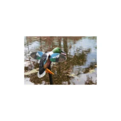 Mojo Spoonzilla -Chasse Passion mojo spoonzilla 1