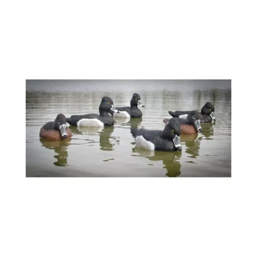 Morillons Magnums Insubmersibles Actifs Higdon