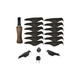 Pack Coquilles Corvidés