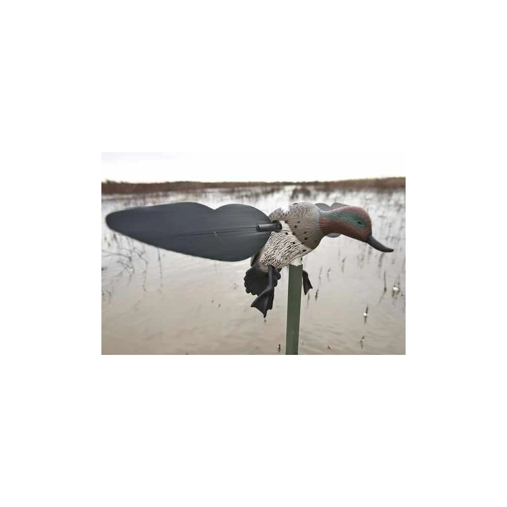 Sarcelle à Ailes Tournantes MOJO 2 Sarcelle à Ailes Tournantes MOJO – Image 2