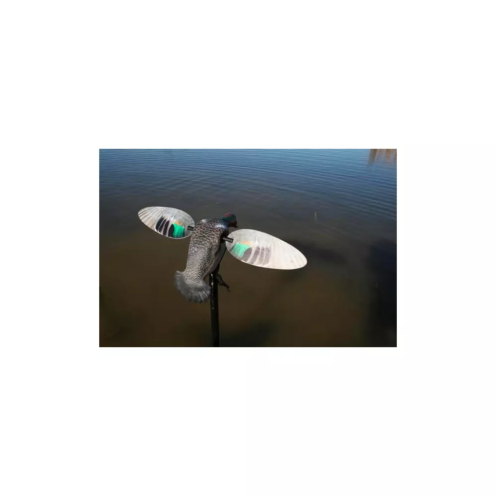 Sarcelle à Ailes Tournantes Mojo Elite Serie Teal 3 Sarcelle à Ailes Tournantes Mojo Elite Serie Teal – Image 3