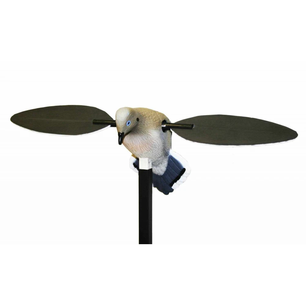 Tourterelle à Ailes Tournantes MOJO 1 Tourterelle à Ailes Tournantes MOJO